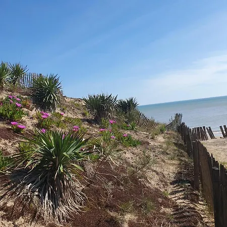 Villa Maison Bord De - Sur